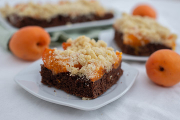 Delicious home made chocolate apricot cake with sweet streusel on a table