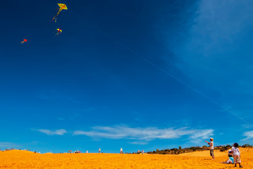 Colorful kites on the blue sky