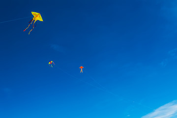 Colorful kites on the blue sky