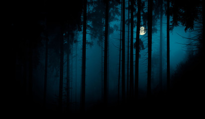 Full moon through the spruce trees in magic mystery night foggy forest. Halloween backdrop.