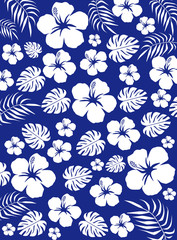 ハイビスカスと南の島の植物