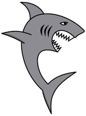 A great shark with open jaw and sharp teeth