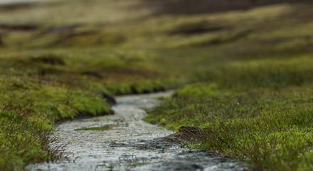 Little Stream with green grass with droplets of dew. Low angle view with perspective and bokeh effect. Landmannalaugar trek, Iceland