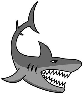 A great shark with open jaw and sharp teeth