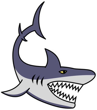 A great shark with open jaw and sharp teeth