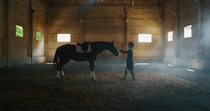 Cinematic slow motion of young female horsemanship master dressed in a professional apparel is caressing his bay horse before to start practising exercises for competition of horse racing and dressage