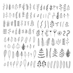 Big vector collection of flower ornament dividers isolated on white background. Hand drawn floral decoration and sketch leaves