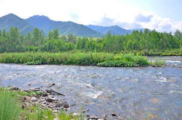 Landscape the mountain river of the mountain of a plant and trees against the background of the sky with clouds