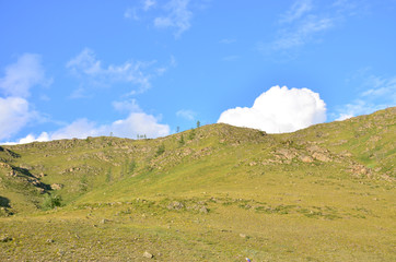 Fototapeta premium Landscape of the mountain of a plant and trees against the background of the sky with clouds