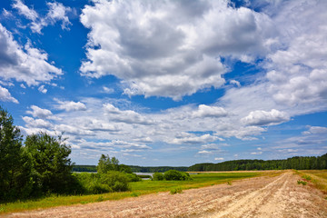 Fototapeta na wymiar Summer landscape with clouds and trees