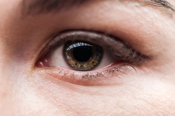 close up view of adult woman eye with eyelashes and eyebrow looking at camera