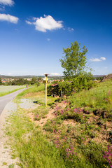 Beatiful spring rural landscape with blue sky