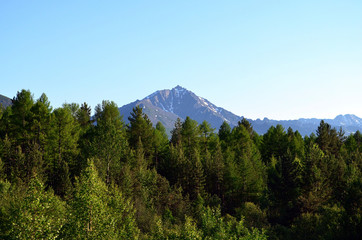 Sunny day at Siberia mountains 