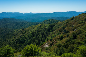Naklejka premium Santa Cruz mountains in Castle Rock