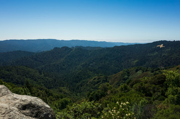 Fototapeta na wymiar Santa Cruz mountains in Castle Rock