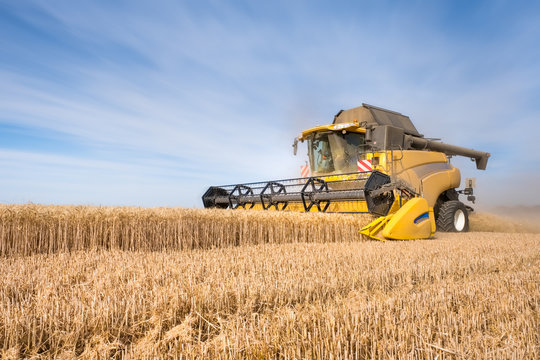 Moisson de bl&eacute; dans le Vexin fran&ccedil;ais en juillet 2019 /Wheat harvest in Vexin  July 2019