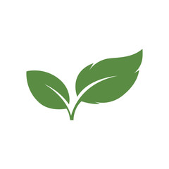 Logos of green Tree leaf ecology nature element