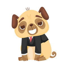 Naklejka premium Cute pug in a classic jacket. Vector illustration on white background.
