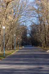 Path in park