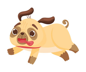 Cute pug runs fast. Vector illustration on white background.