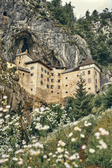 image of Predjamski castle with flowers in the foreground