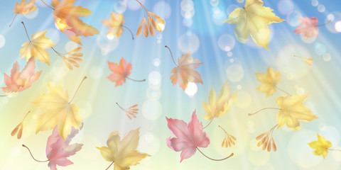 Fototapeta na wymiar Flying Autumn Leaves