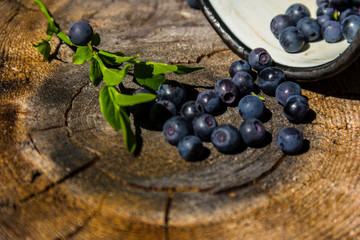 Beautiful fresh blueberries on stump. Sunny summer day in the forest.