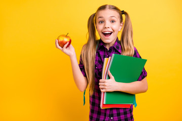 Close up photo of little lady diligent pupil copybooks hands apple lunchtime wear casual checkered...