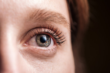 close up view of young woman grey eye with eyelashes and eyebrow looking away