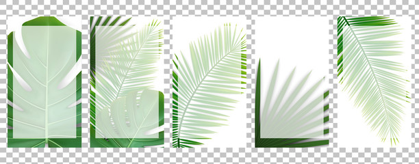 Set of social media templates for stories (16:9) with green tropical leaves of different palms and monstera. Vector EPS 10.