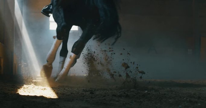 Cinematic slow motion close up of young male horsemanship master dressed in a professional apparel is practising exercises for competition of horse racing and dressage on a riding hall.