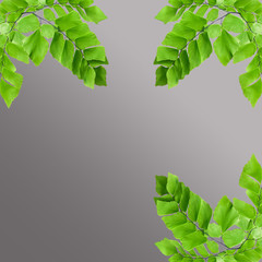 creative layout made of flat leaves, flat design,