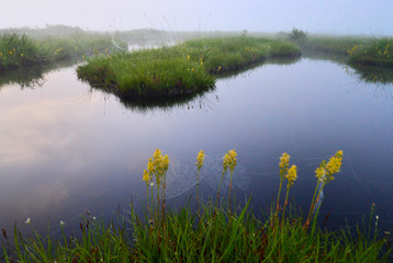 尾瀬ヶ原の池塘