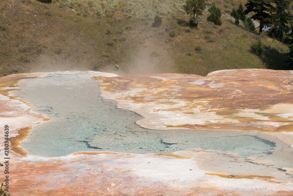 Wall mural thermal springs and limestone formations at mammoth hot springs in wyoming in america