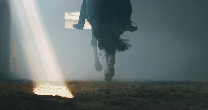 Cinematic slow motion close up of young male horsemanship master dressed in a professional apparel is practising exercises for competition of horse racing and dressage on a riding hall.