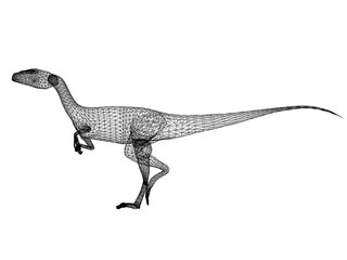  raptor  dinosaurs  ,3d rendering wire frame