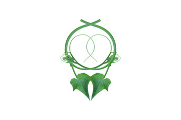The unique top of the leaf forms an isolated forest border with a white background, creative layout, can be used as a logo with the concept of returning to nature, including the cliping path