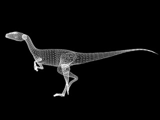  raptor  dinosaurs  ,3d rendering wire frame