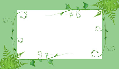 frame borders and creative layouts are made from twisted tropical leaves, isolated on white background, concept back to nature, save earth, including the cliping path 