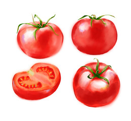Hand drawn digital illustration in watercolor style. Red ripe realistic tomatoes, perfect rendered vegetables isolated on the white background