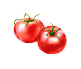 Hand drawn digital illustration in watercolor style. Red ripe realistic tomatoes, perfect rendered vegetables isolated on the white background