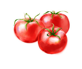 Hand drawn digital illustration in watercolor style. Red ripe realistic tomatoes, perfect rendered vegetables isolated on the white background