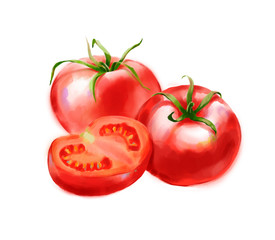 Hand drawn digital illustration in watercolor style. Red ripe realistic tomatoes, perfect rendered vegetables isolated on the white background
