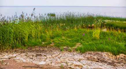 Sandy beach and sunset at the bay