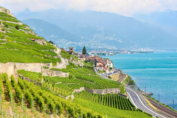 Beautitul wine village Saint Saphorin in Lavaux wine region, Switzerland photographed in summer season with famous Geneva Lake in background. Vineyards on slopes by lake. Swiss landscape