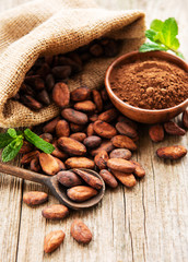 Raw cacao beans and cocoa powder