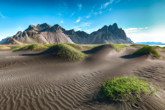 Dramatic sunny day and gorgeous rippled black sand beach and green grass on Stokksnes cape in Iceland