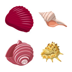 Vector illustration of seashell and mollusk symbol. Set of seashell and seafood vector icon for stock.