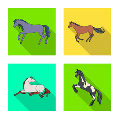Vector illustration of breed and equestrian icon. Collection of breed and mare vector icon for stock.
