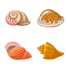 Vector design of seashell and mollusk sign. Collection of seashell and seafood stock symbol for web.